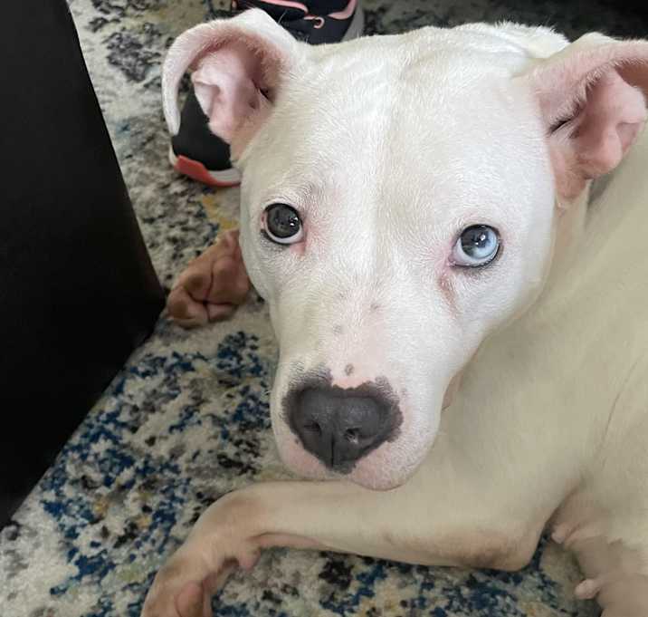 Photo of Skylar