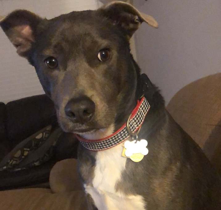 Photo of Chloe