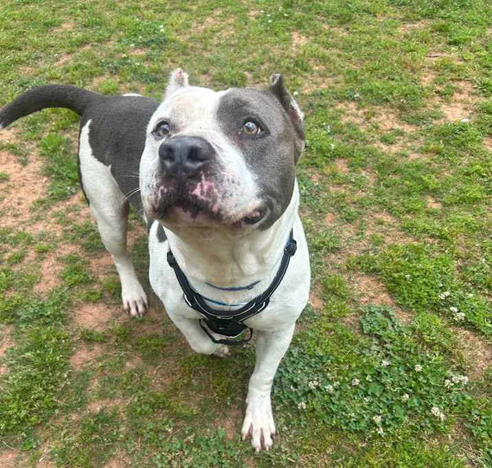 Photo of Blu