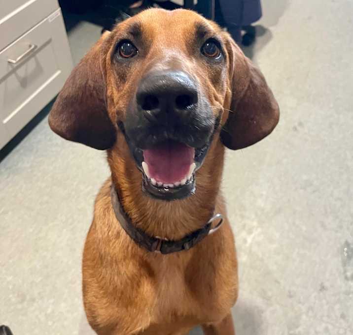 Photo of CLIFFORD