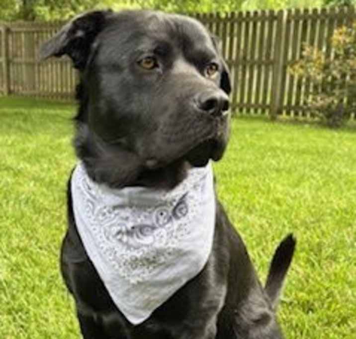 Photo of Lennox