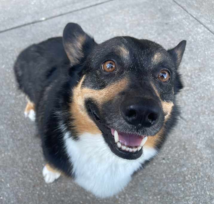 Photo of Oakley