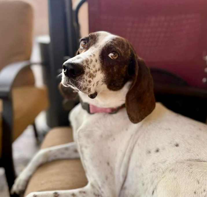 Photo of Sweetie