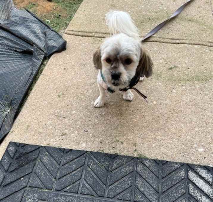 Photo of ninja