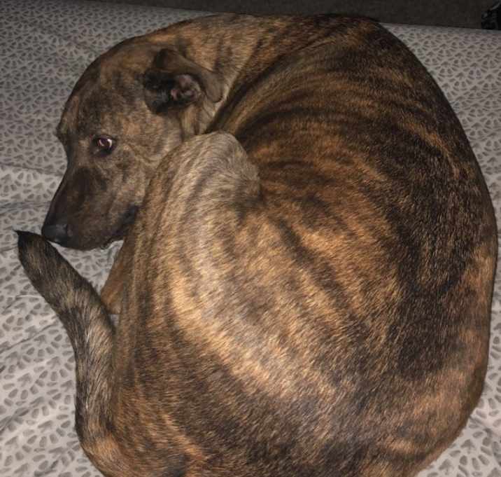 Photo of Milly