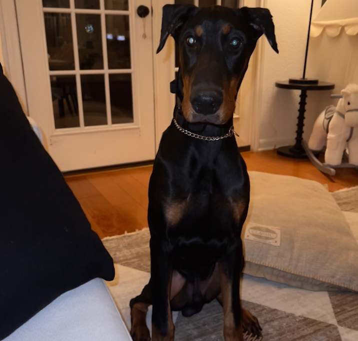 Photo of Remington