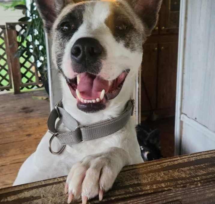 Photo of Malcolm
