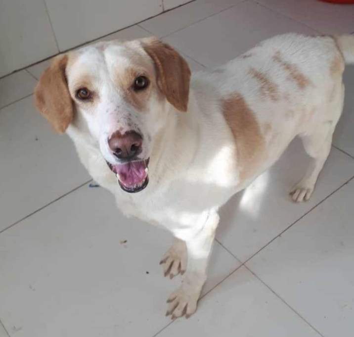 Photo of Megan (KSAR)