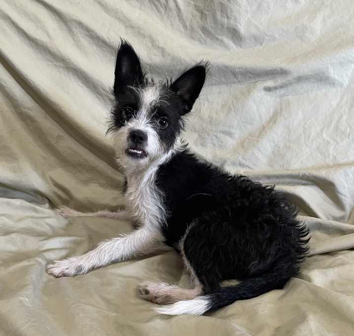 Photo of Temperance