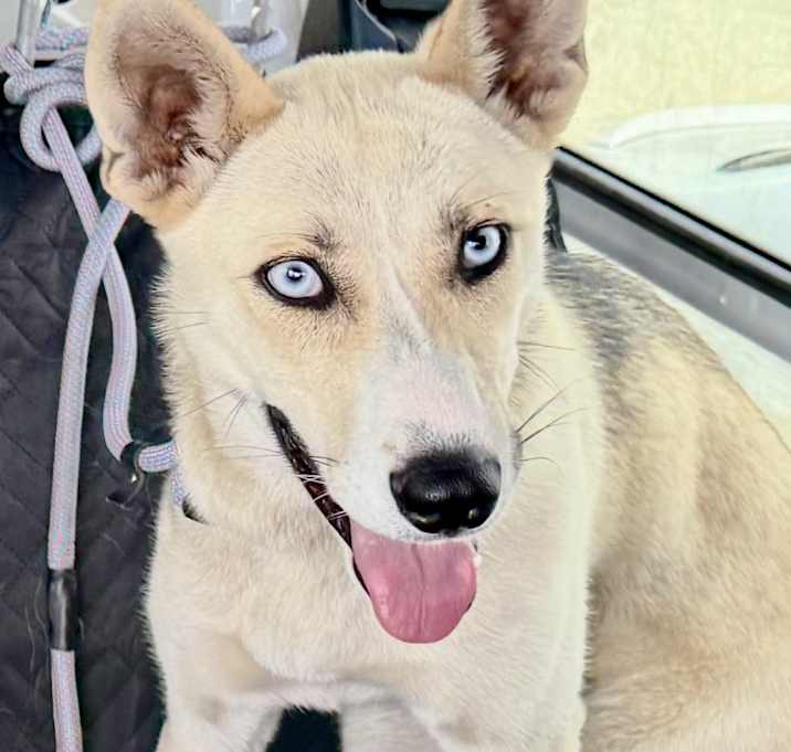 Photo of Isabelle