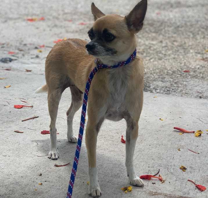 Photo of Melo