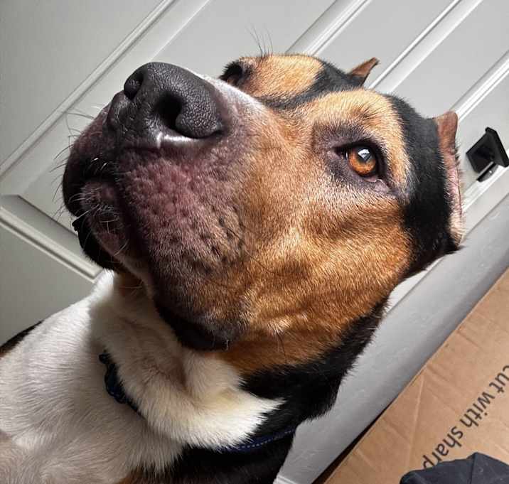 Photo of Courage