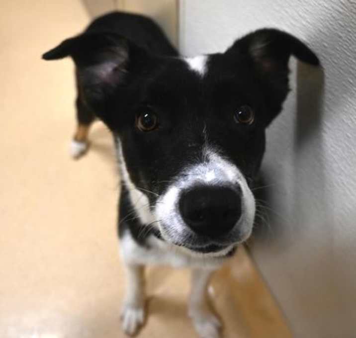 Photo of Rico