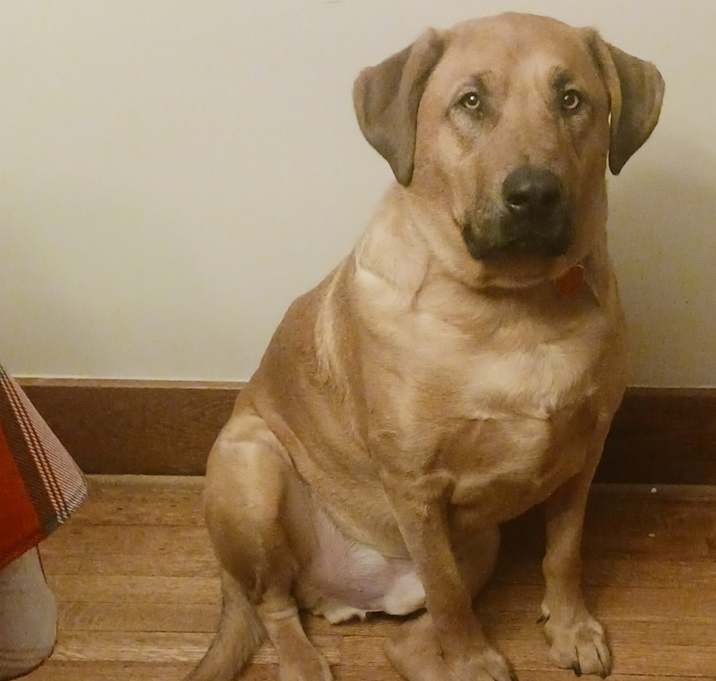 Photo of Baylor