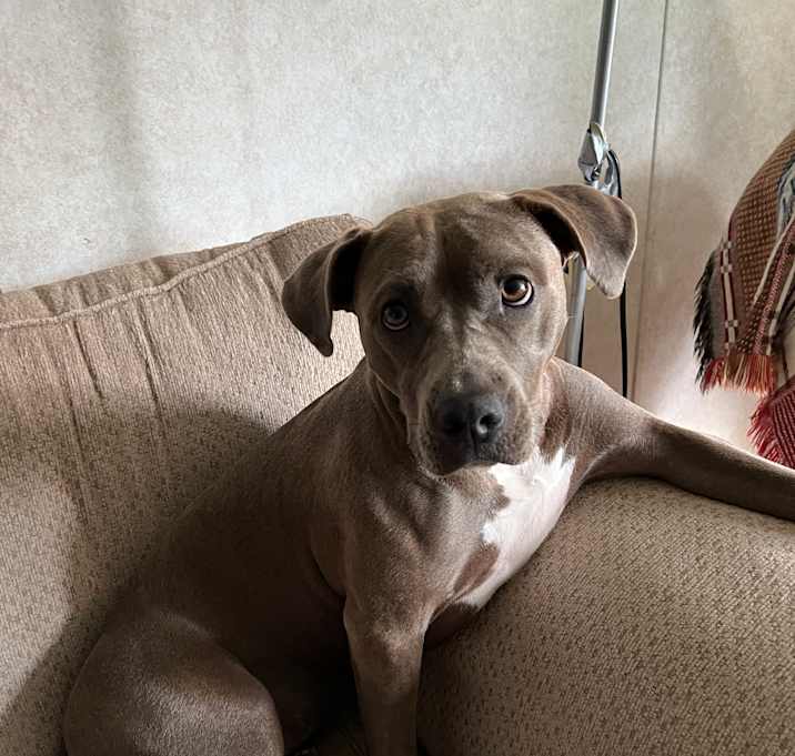 Photo of Nova