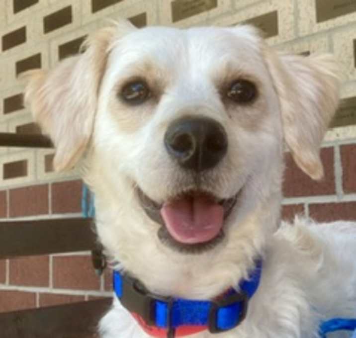 Photo of Daisy
