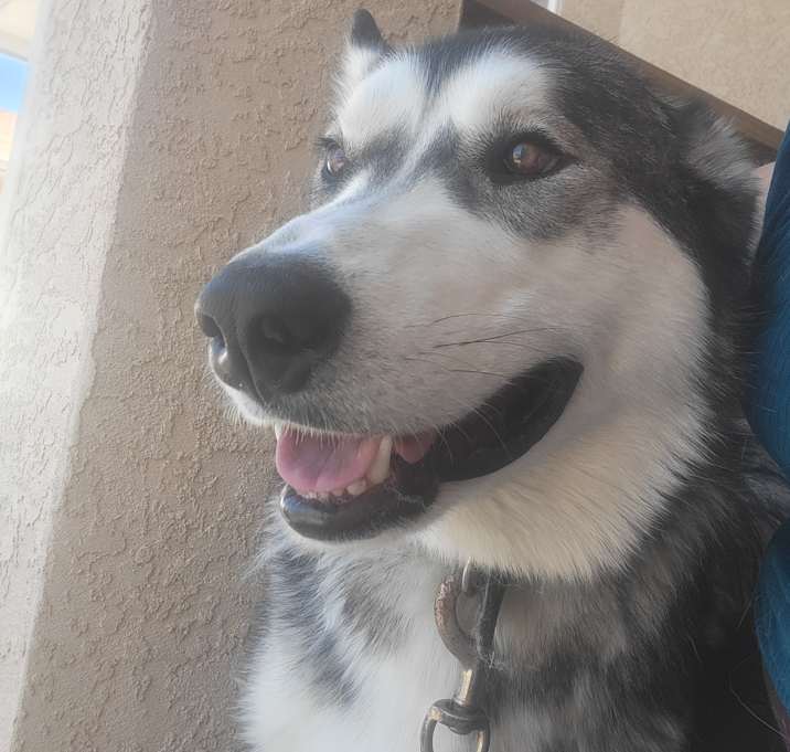 Photo of Hiro