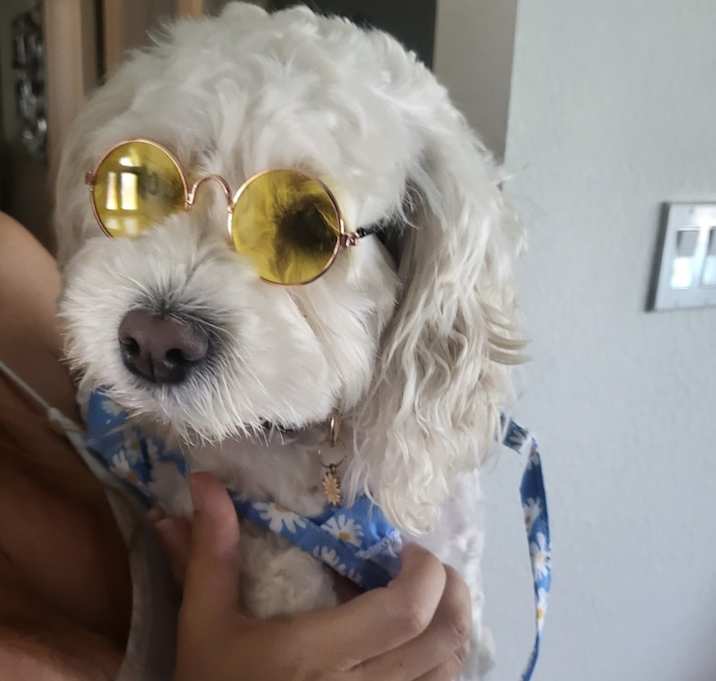 Photo of Betty