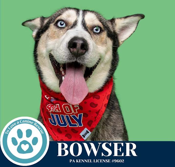 Photo of Bowser 062125
