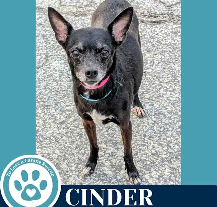 Photo of Cinder 062125
