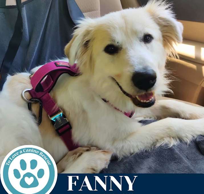 Photo of Fanny 062125