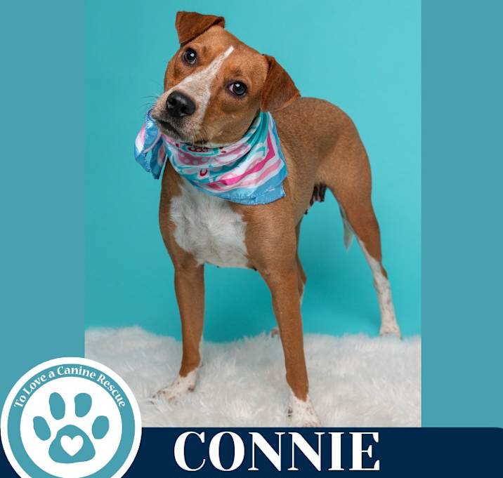 Photo of Connie (Mom to Connie's Kiddos) 062125