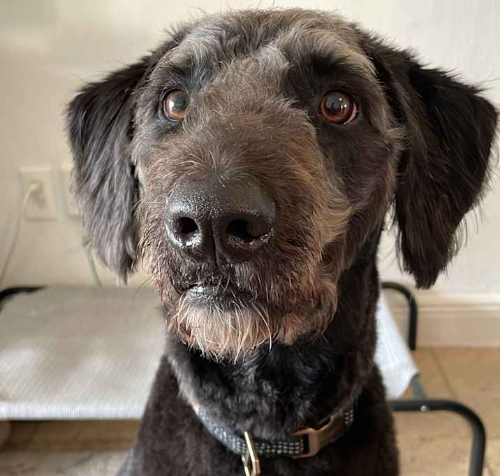 Photo of Zeus