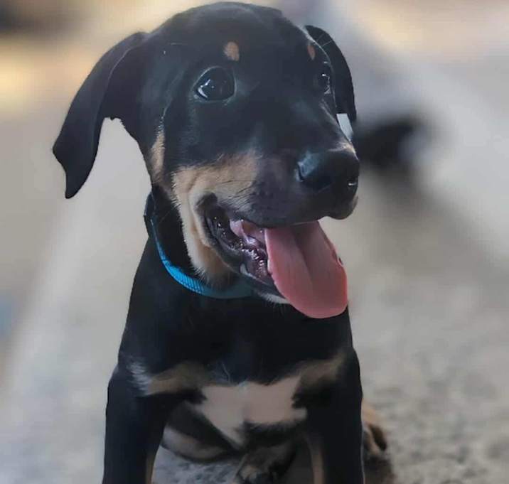 Photo of Charlie