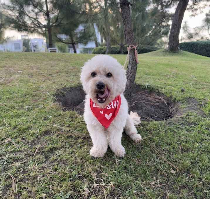 Photo of Mike