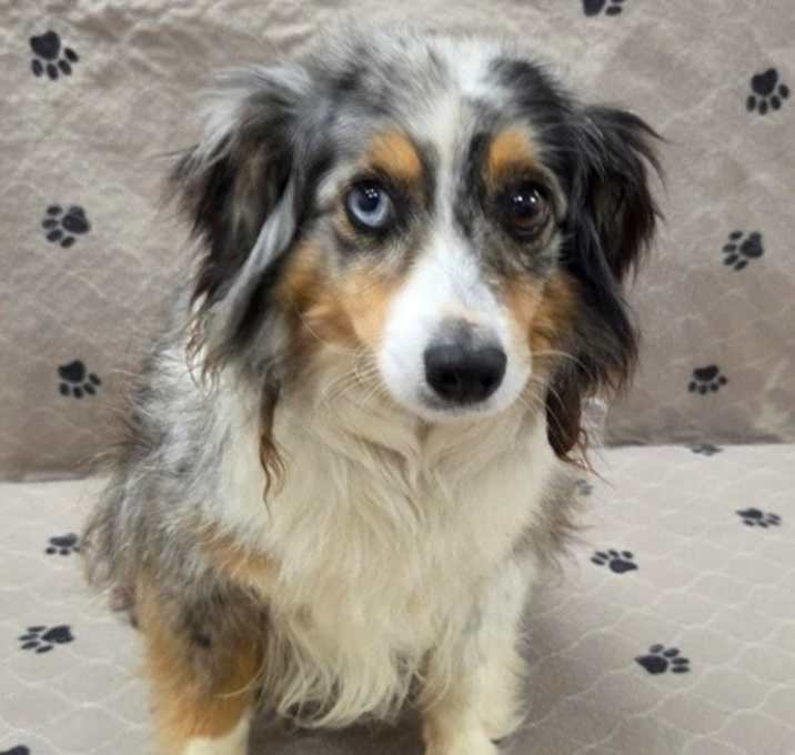 Photo of Nellie