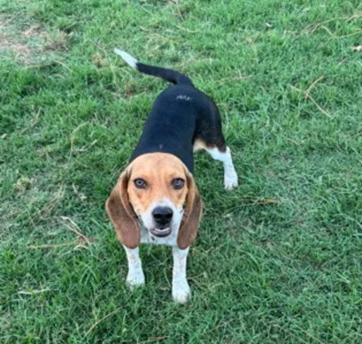 Photo of Lucy