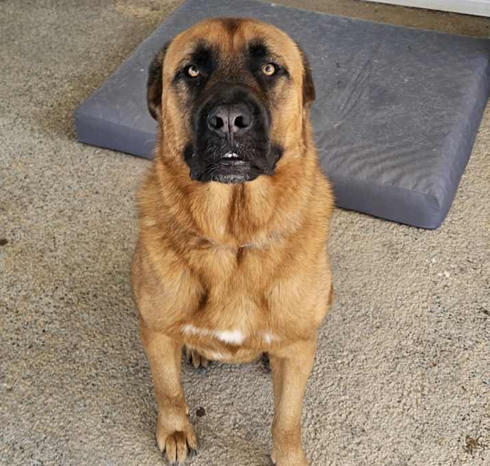 Photo of Mack