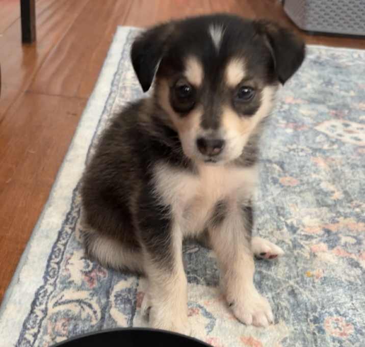 Photo of RUBY