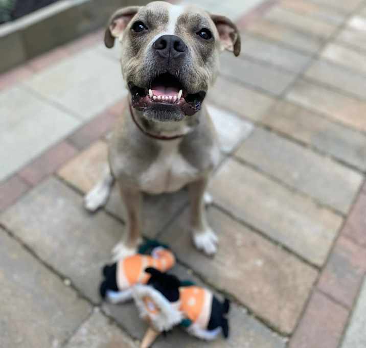 Photo of Oz
