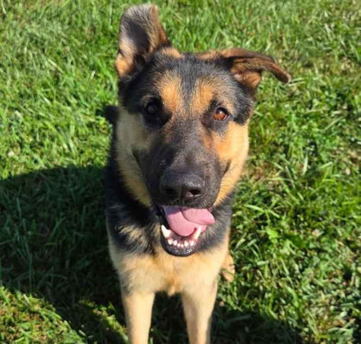 Photo of Archer