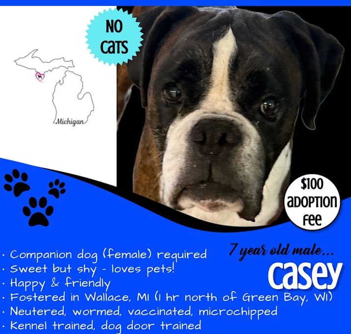 Photo of Casey