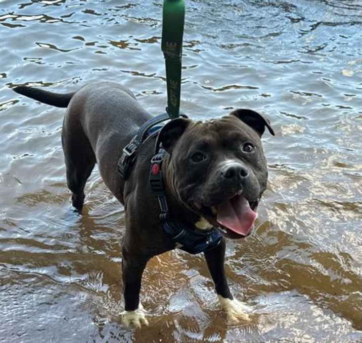 Photo of PEGGY