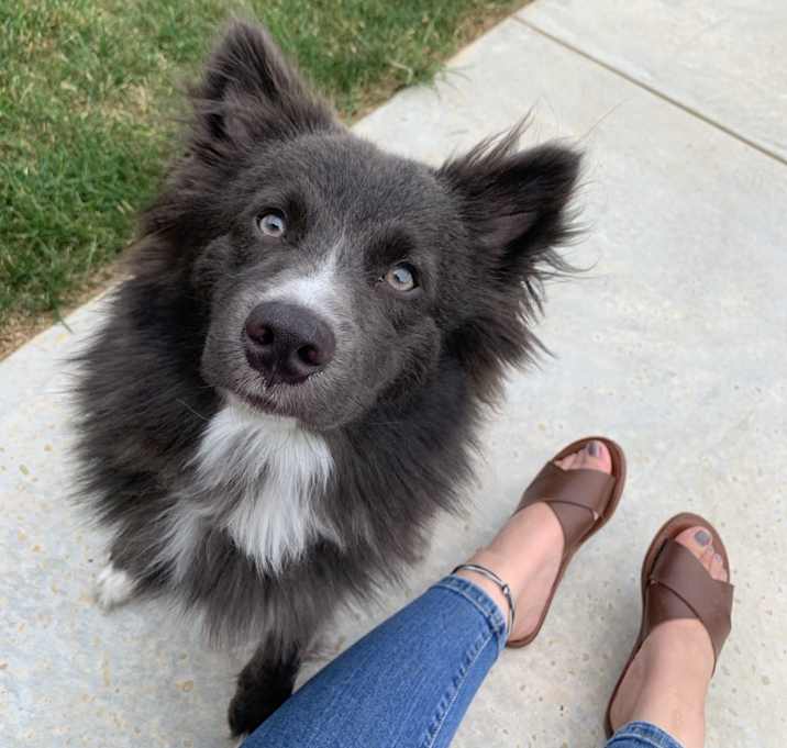 Photo of Winston
