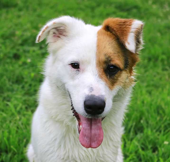 Photo of ROXY