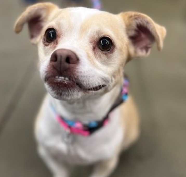 Photo of Remi
