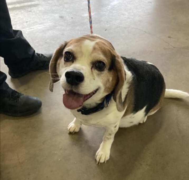 Photo of BUSTER