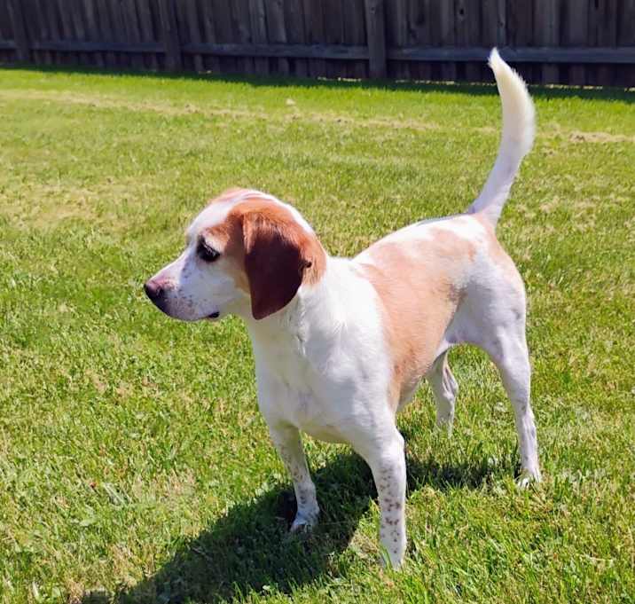 Photo of Buster