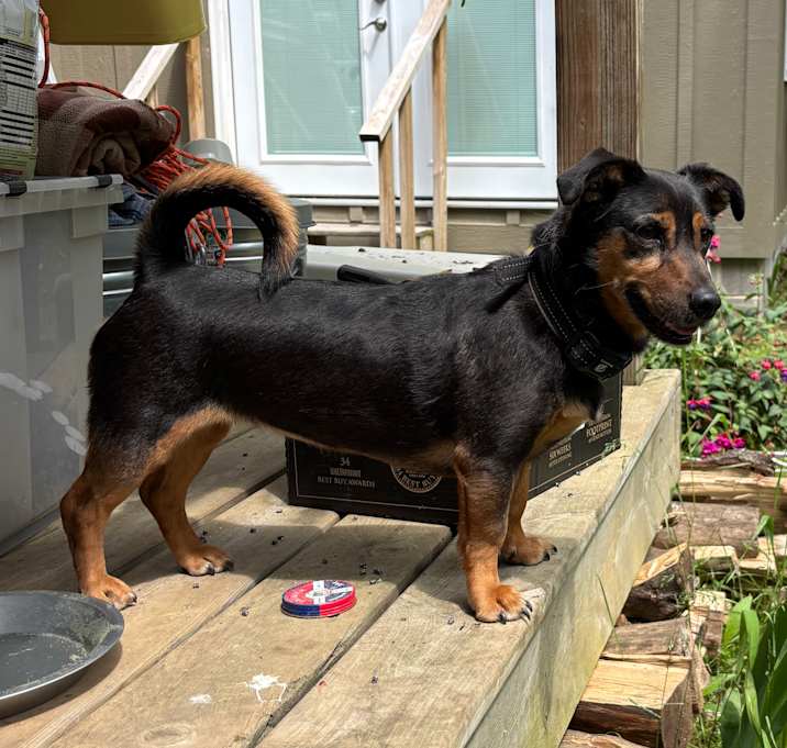 Photo of Xena
