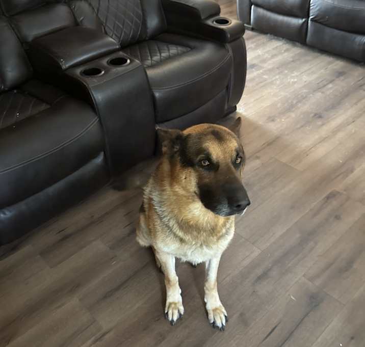 Photo of Duke