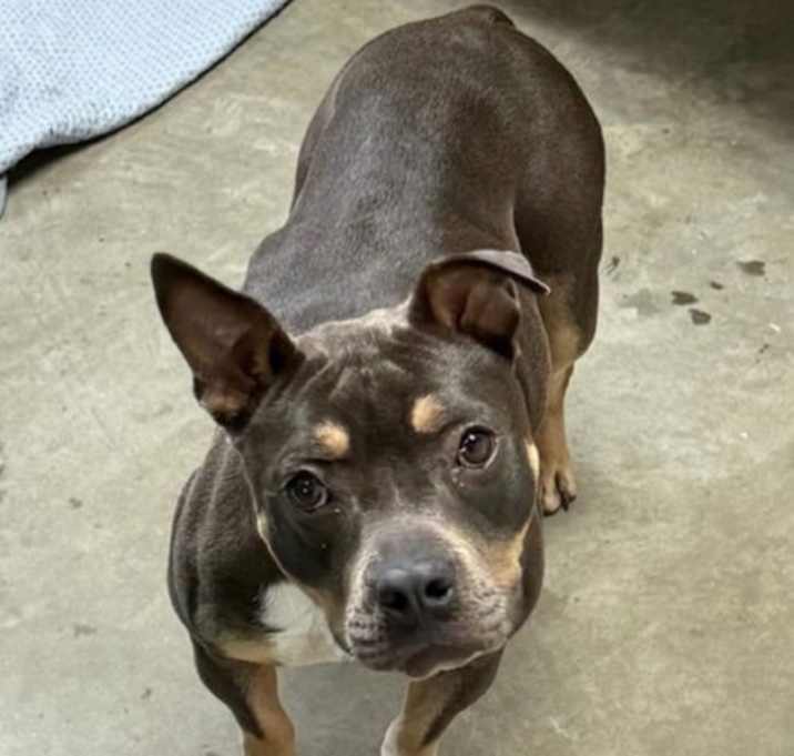 Photo of Missy