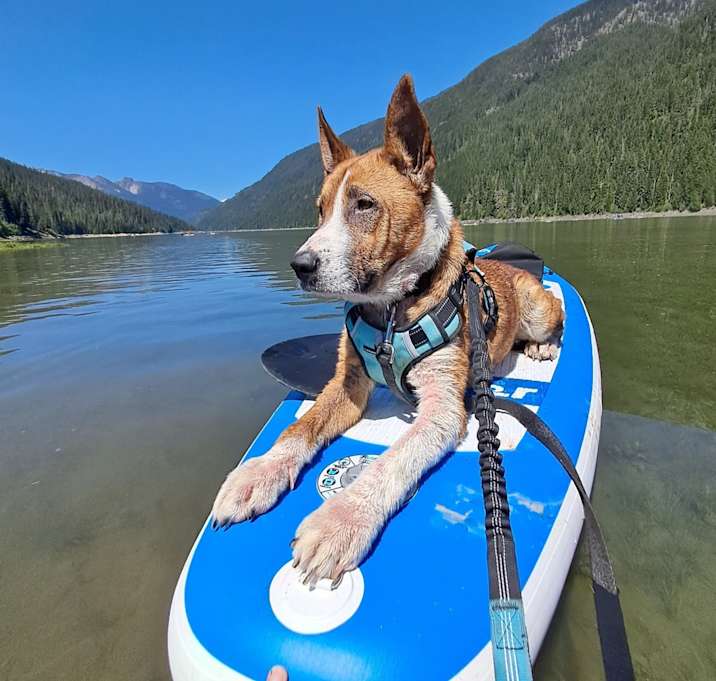 Photo of Maya
