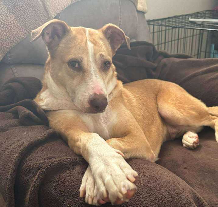 Photo of Jezzie