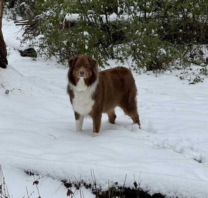 Photo of Willie