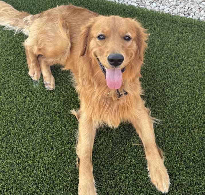 Photo of Atlas