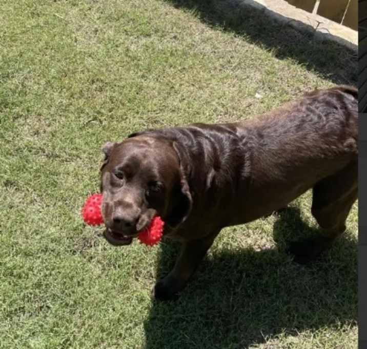 Photo of Hershey
